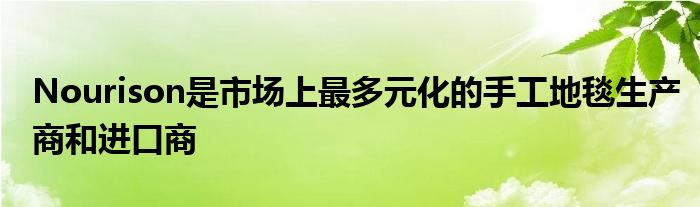 Nourison是墟市上最众元化的手工地毯临盆商和赛酷体育进口商